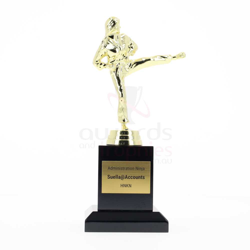 Karate Action Fig Female 200mm